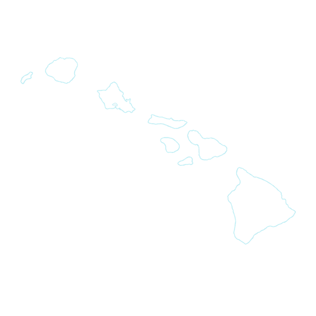 Vector graphic showing the Hawaiian Islands representing Honolulu target market